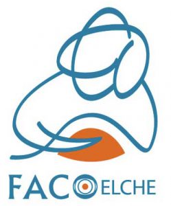 Concurso de Entidad Corporativa para el congreso FACOELCHE de 2016