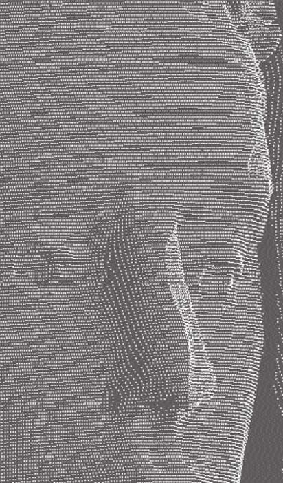 Malla de puntos. El proyecto Duple consiste en clonar la Dama de Elche mediante el digitalizado de toda su superficie a alta resolución para posteriormente